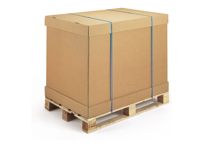 containers carton galia